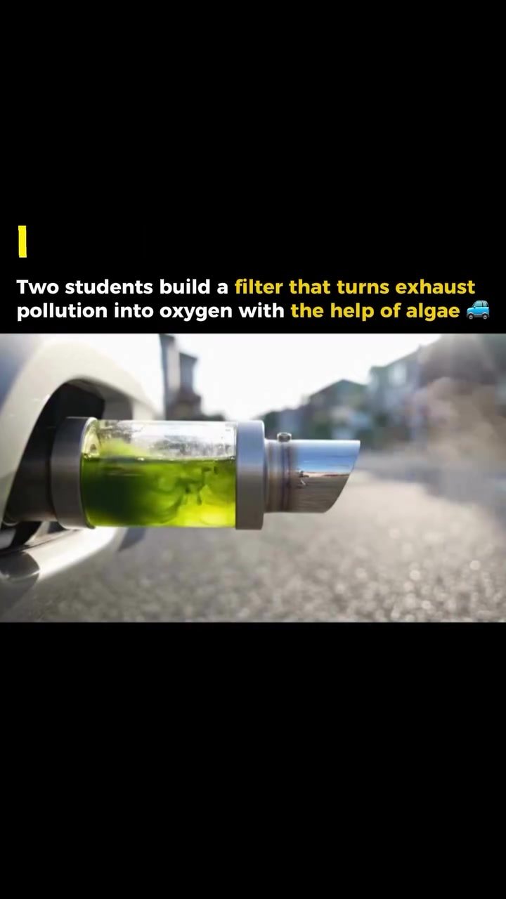 Teenagers Build $30 Filter Converting Car Exhaust to Oxygen