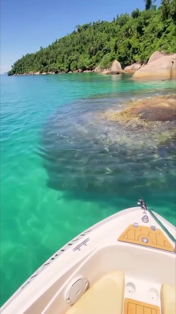 Paraty Brazil: Tropical Boat Trip Highlights