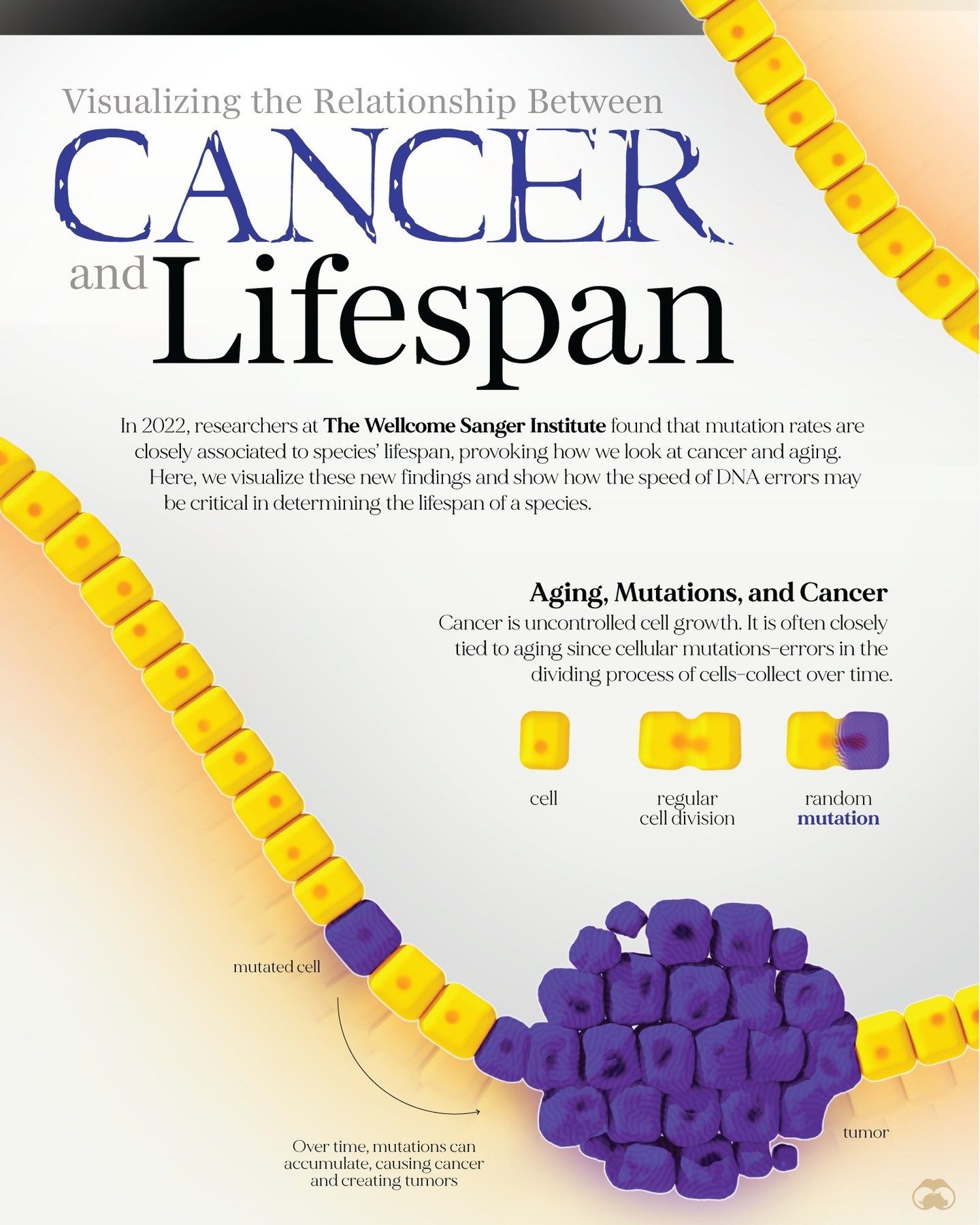 Cancer and Lifespan: New Insights From 2022 Study