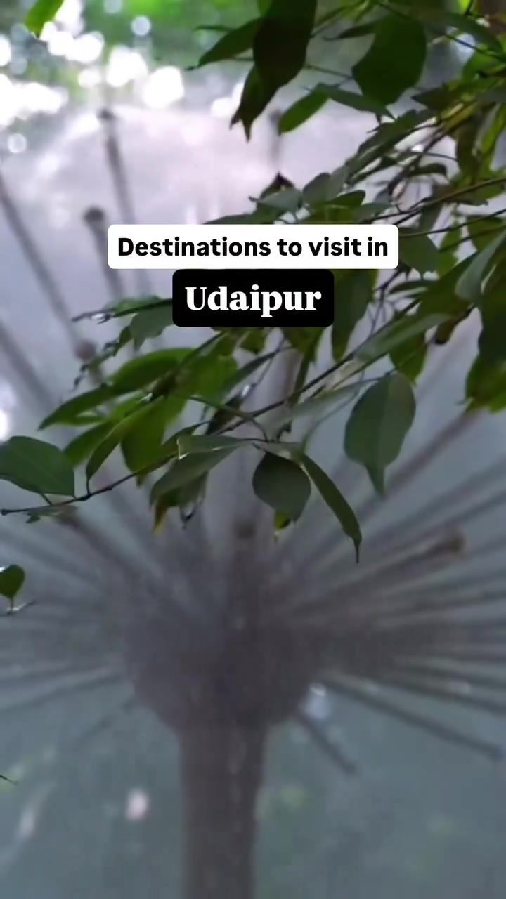 Discover Free Entry Spots in Udaipur