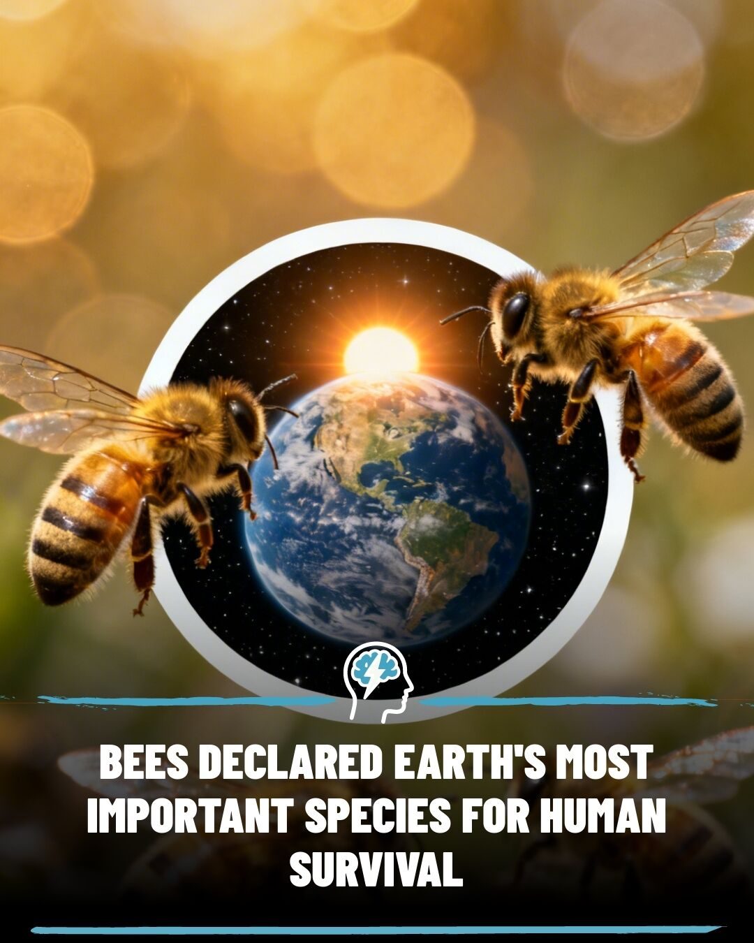 Why Bees Are Crucial for Human Survival