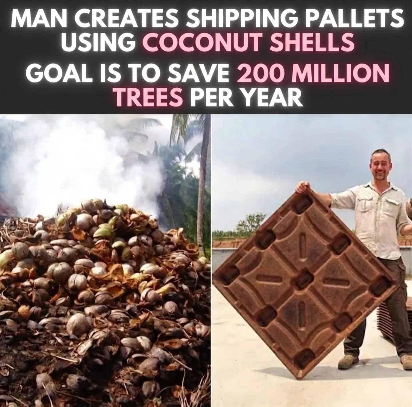 Coconut Shell Pallets: Revolutionizing Eco-Friendly Shipping