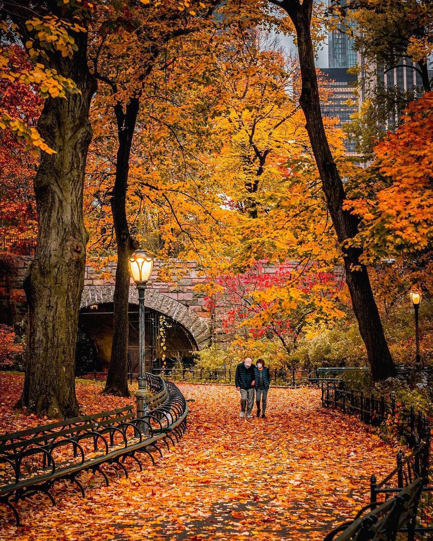 Central Park Autumn Scenery in Fall