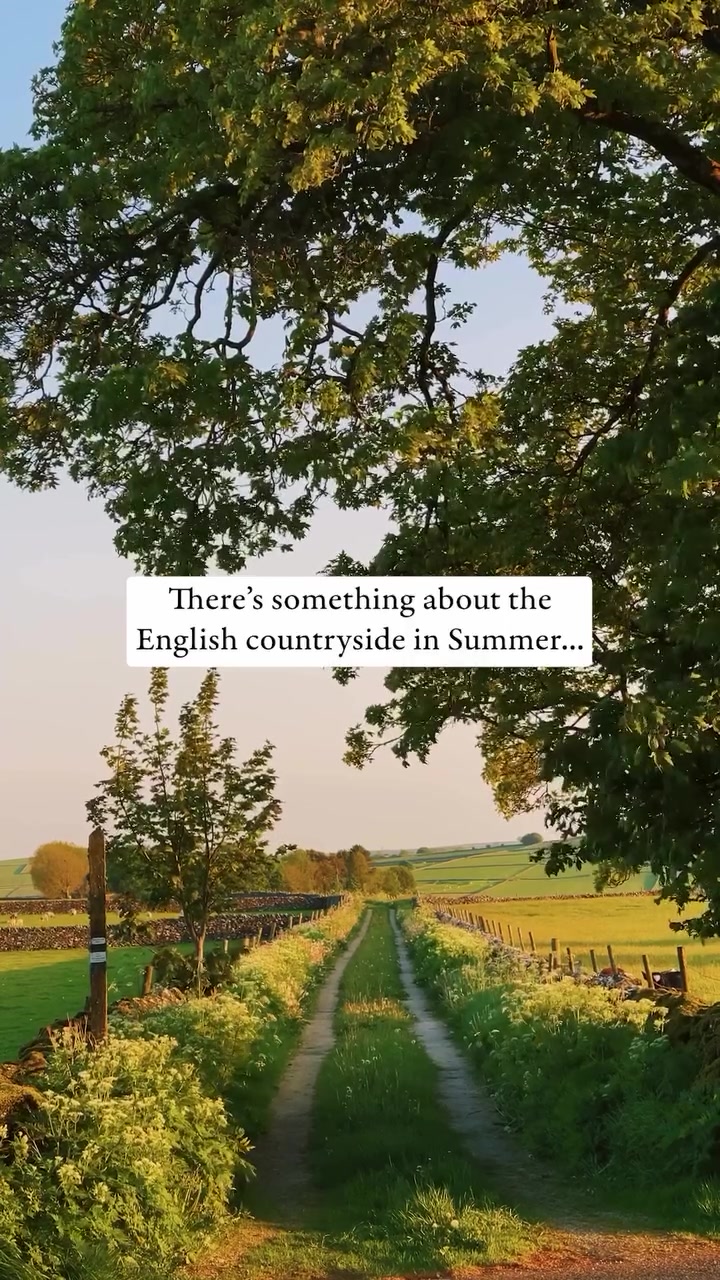 English Countryside Summer Scenery