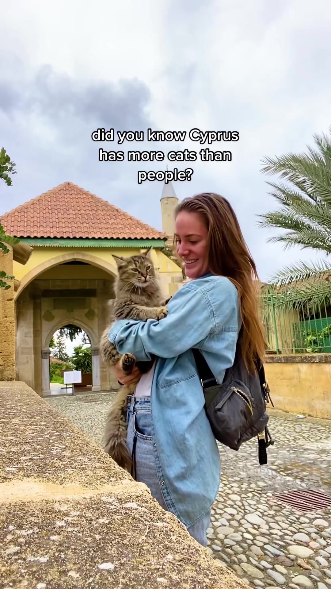 Cyprus' Cat Population: More Cats Than People