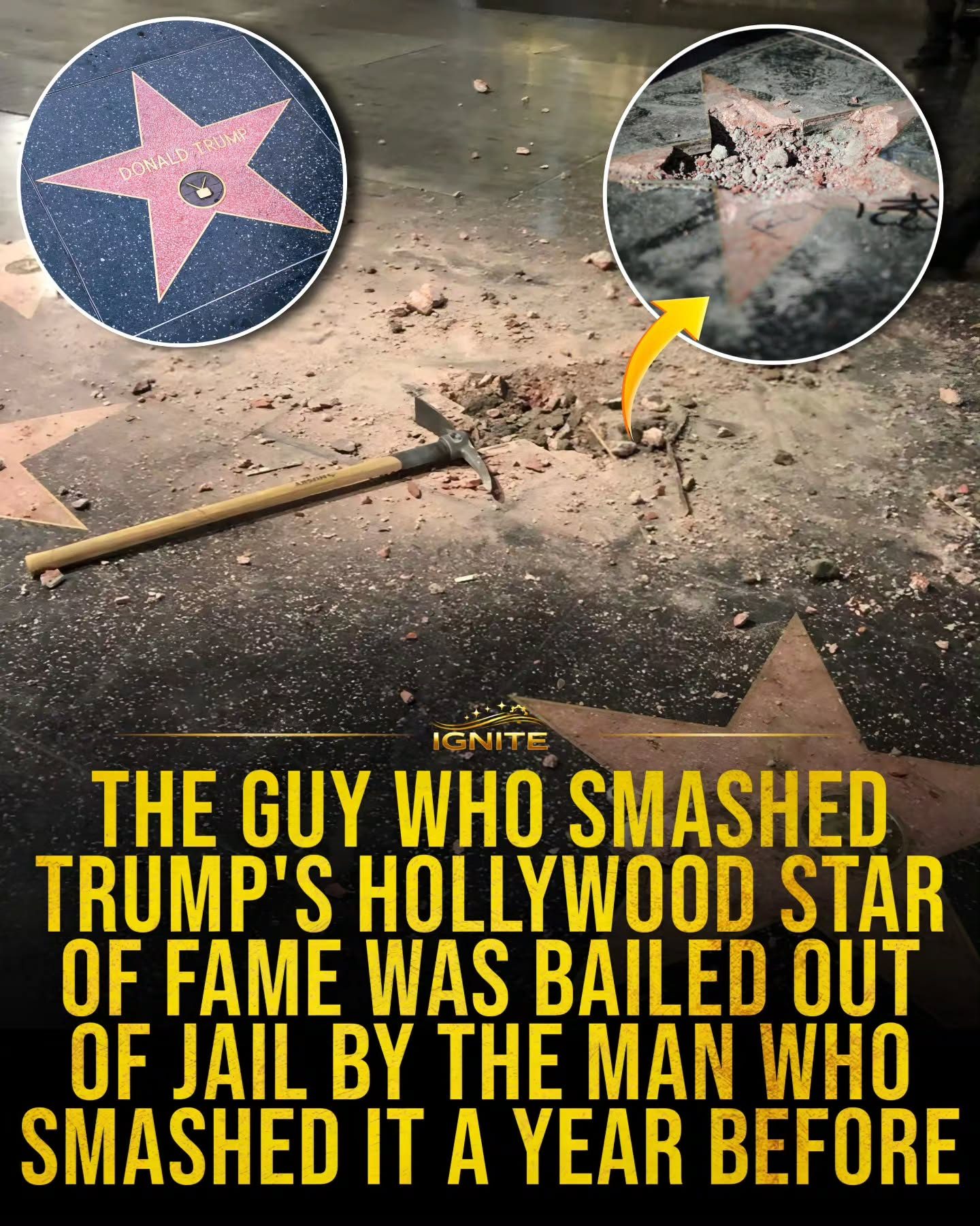 **Two Strangers Bonded by Vandalizing Trump's Hollywood Star**