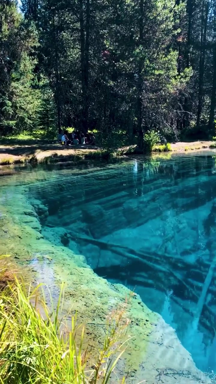 Scenic Lakeside View: Turquoise Water and Forest