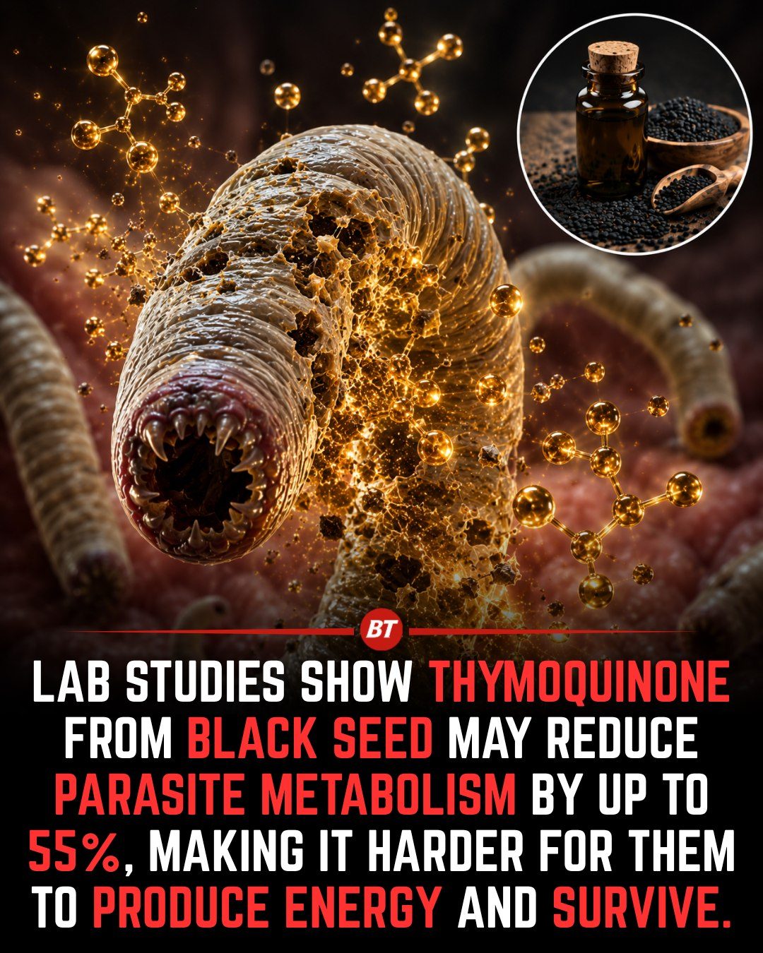 Black Seed's Thymoquinone May Combat Parasites
