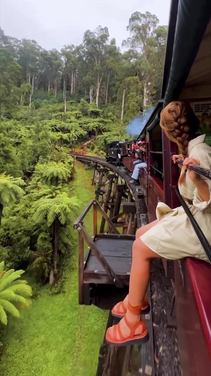 Puffing Billy Train Ride Through Dandenong Forest