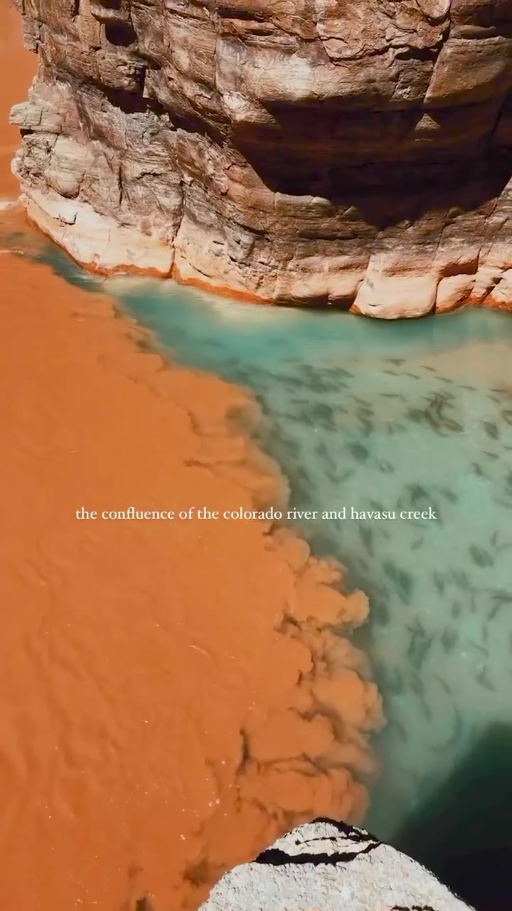 Colorado River and Havasu Creek: Aerial View