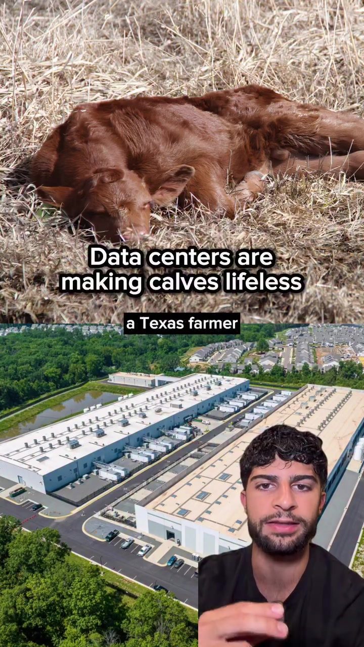 Data Centers' Alarming Impact on Texas Farms and Wildlife