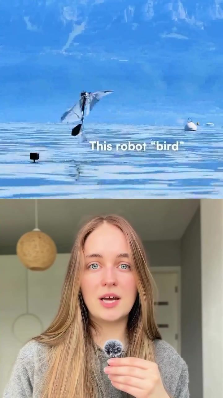 Robot Bird Technology: MIT and EPFL's Innovation for Ocean Monitoring