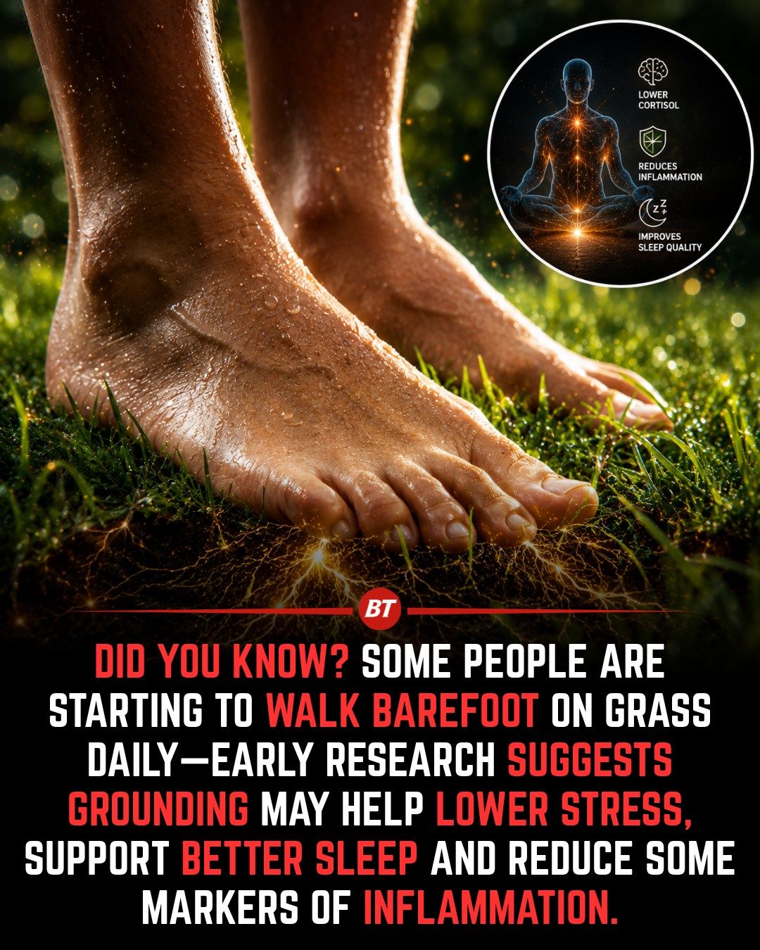 Walking Barefoot on Grass: Potential Health Benefits