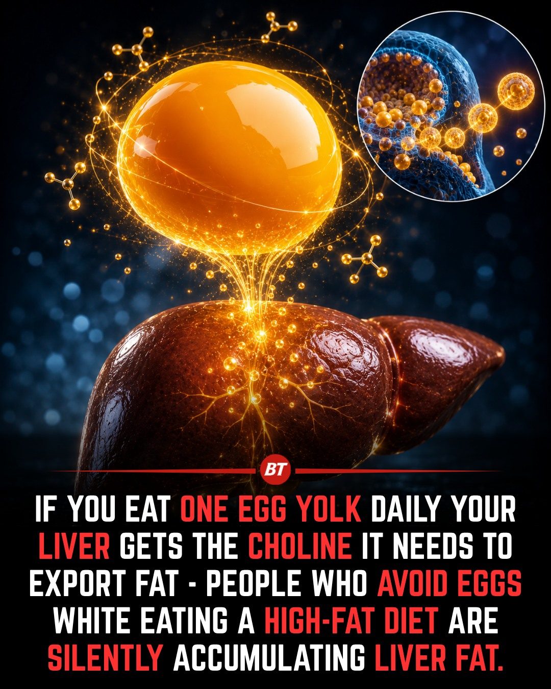 Egg Yolks: Boosting Liver Health with Daily Choline