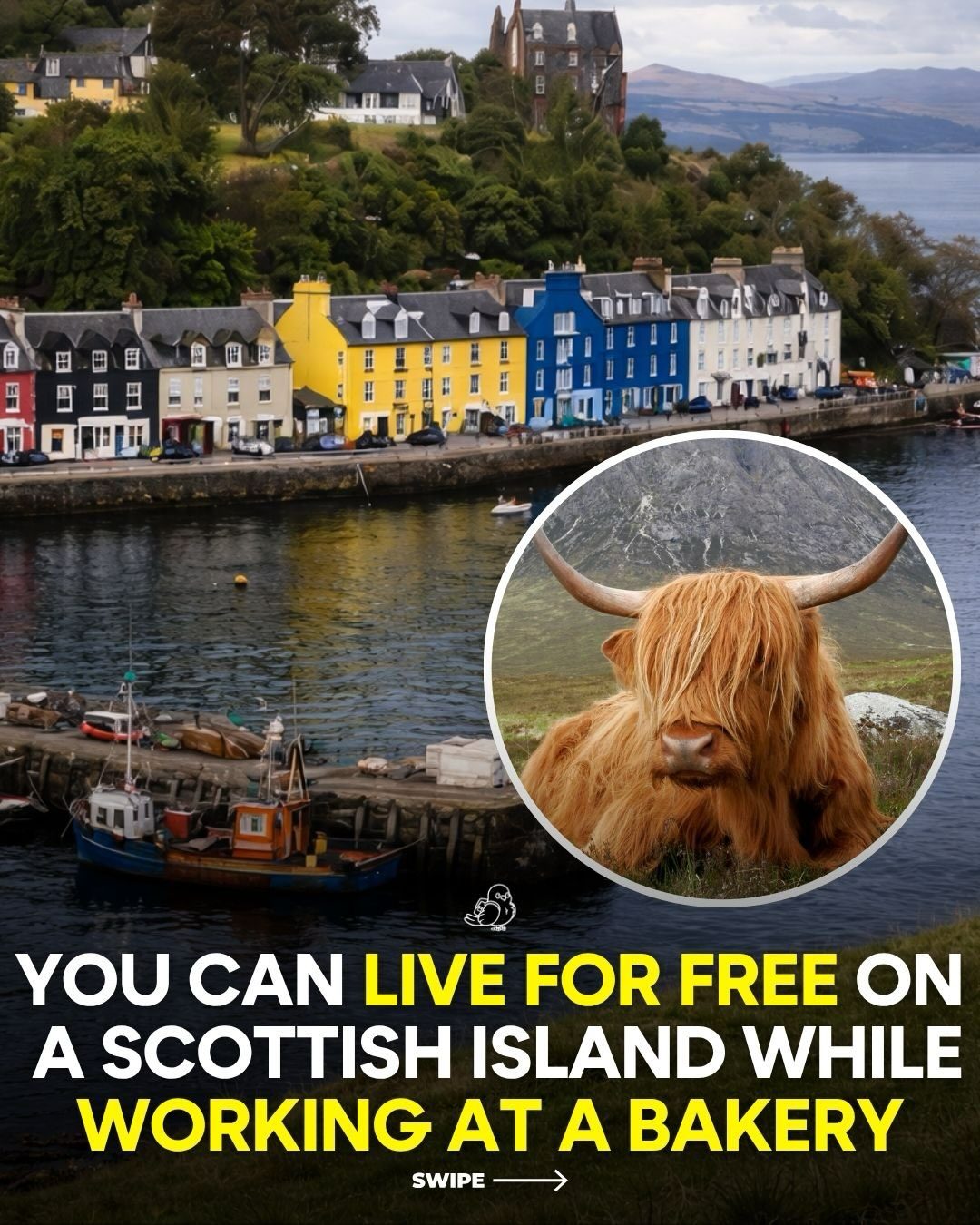 Unique Bakery Job Offers Rent-Free Life on Scottish Island