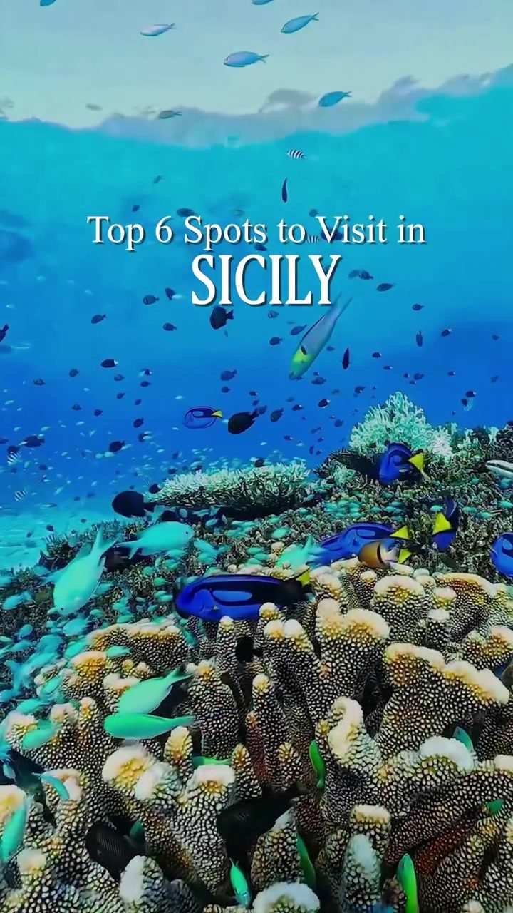 Discover Sicily's Best: Top Spots like Favignana and Mondello