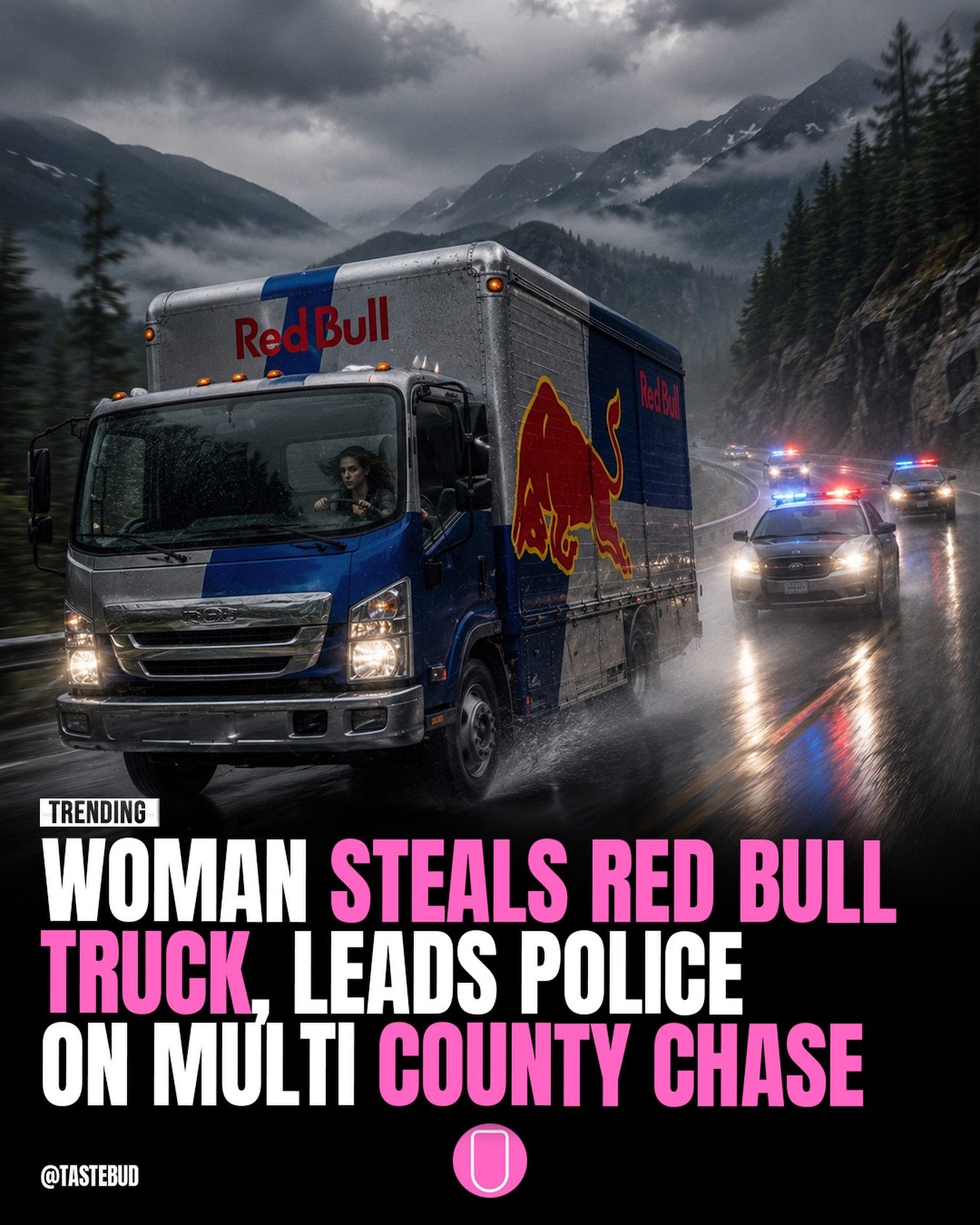 Florida Police Chase: Woman Steals Red Bull Truck