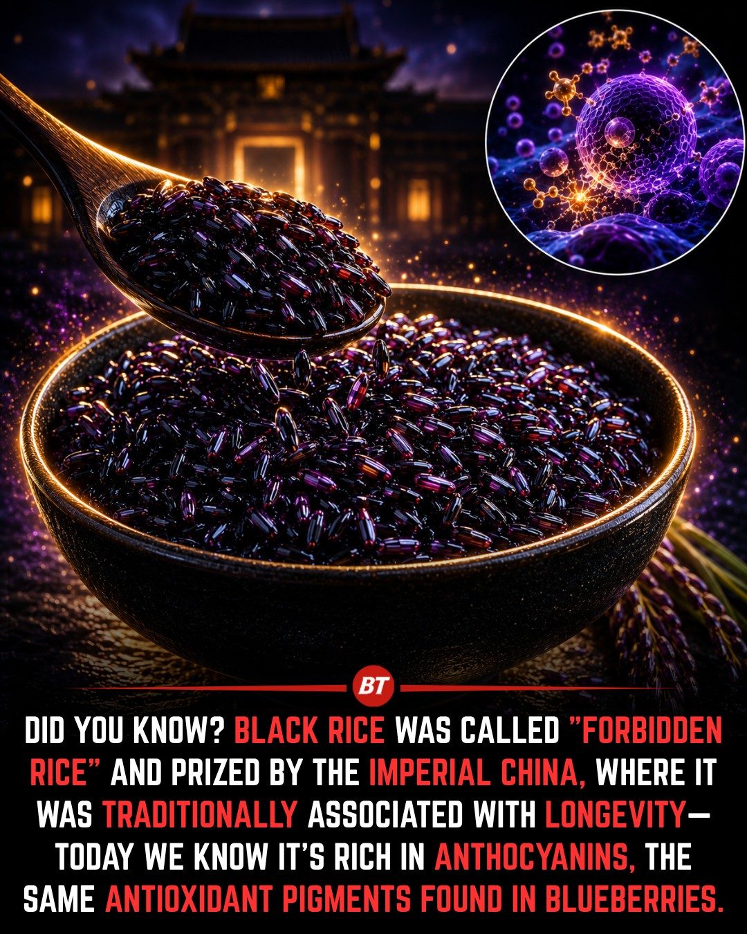Discover the Benefits of Black Rice: The Ancient Forbidden Rice