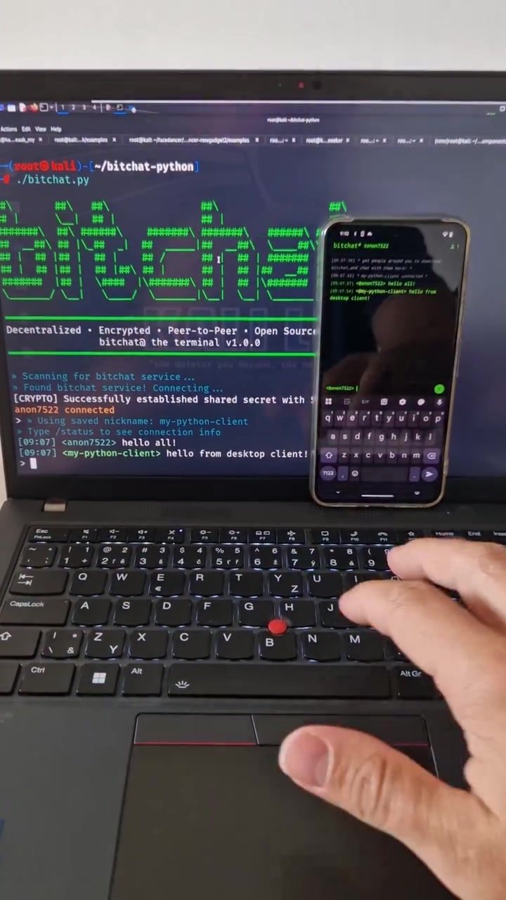 Building a Bluetooth Mesh Network for Secure, Decentralized Chat with Bitchat
