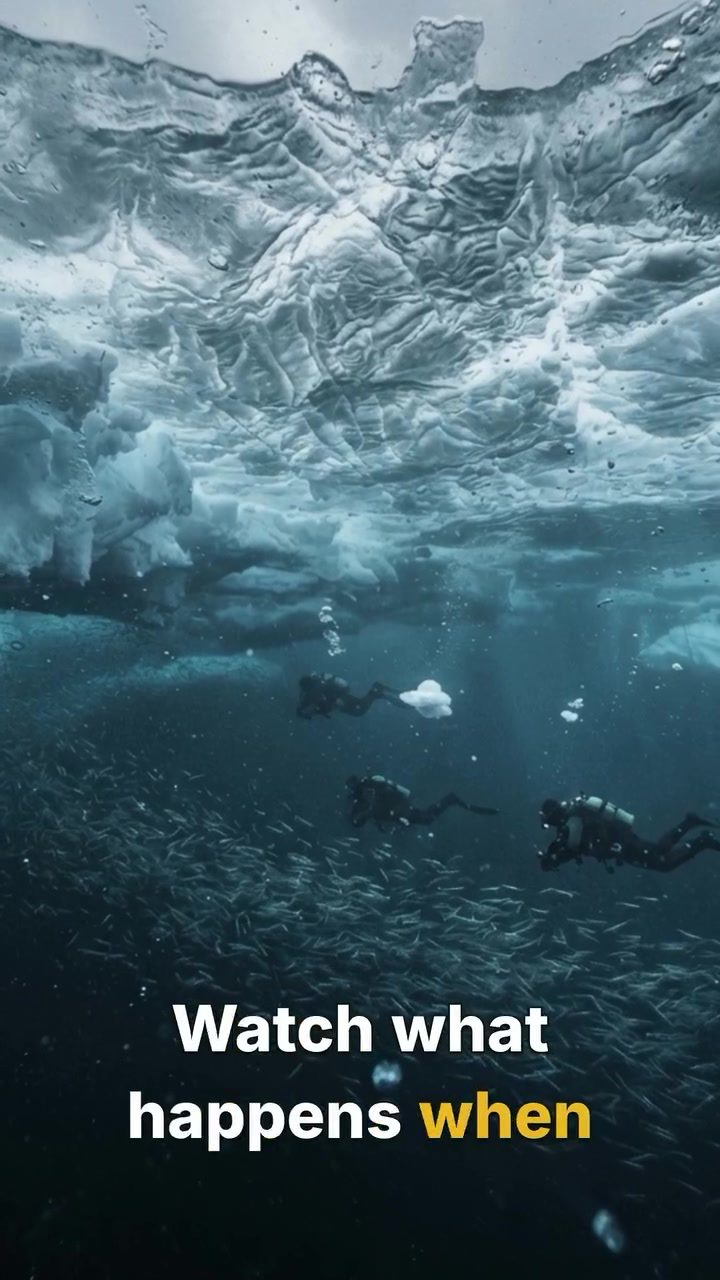 Antarctica's Underwater Ice Formation in 2011