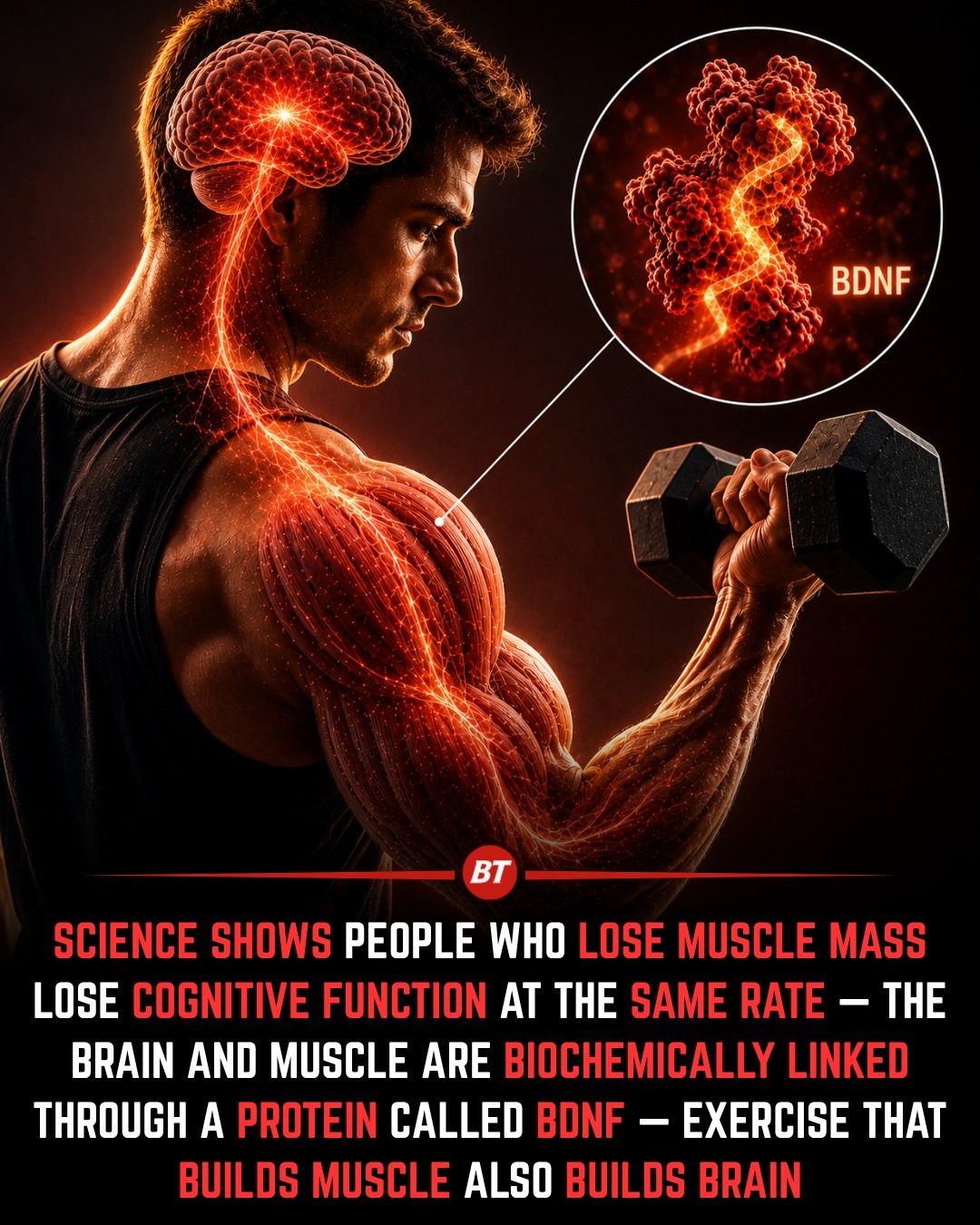 The Surprising Link Between Muscle Strength and Cognitive Health