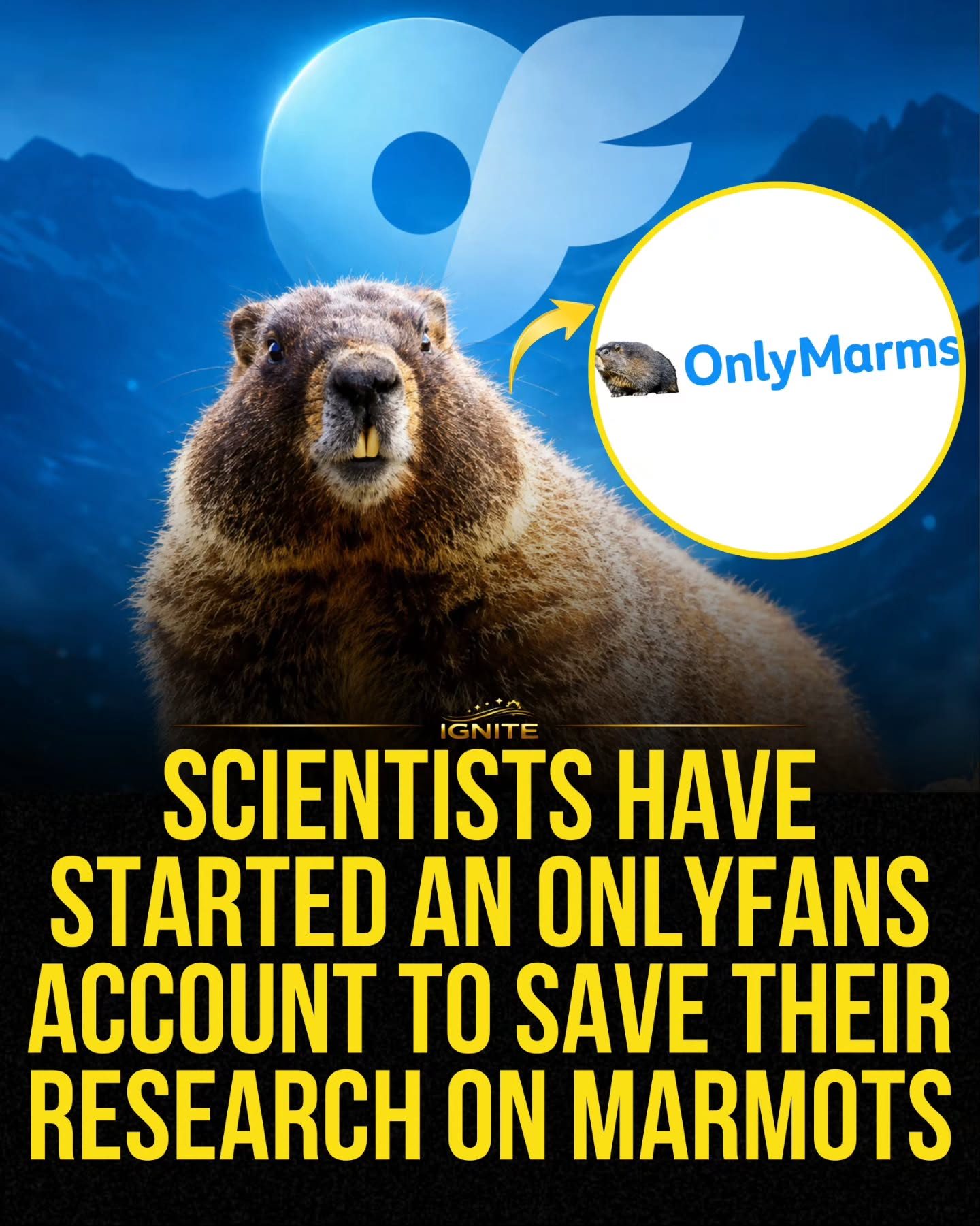 Scientists turn to OnlyFans for Marmot Research Funding