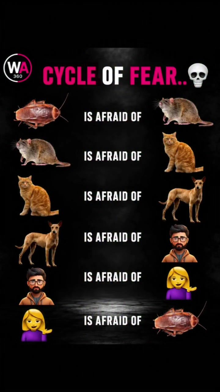 How to Break the Cycle of Fear: A Universal Perspective