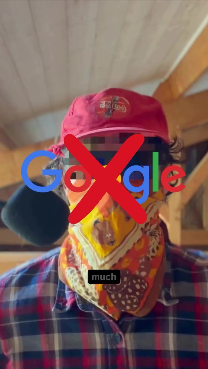 How to Boycott Google: Privacy-Focused Alternatives