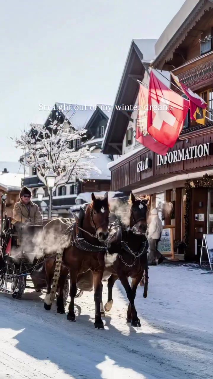 Dreamscape Winter Vacation: Gondola Rides & Snowy Peaks