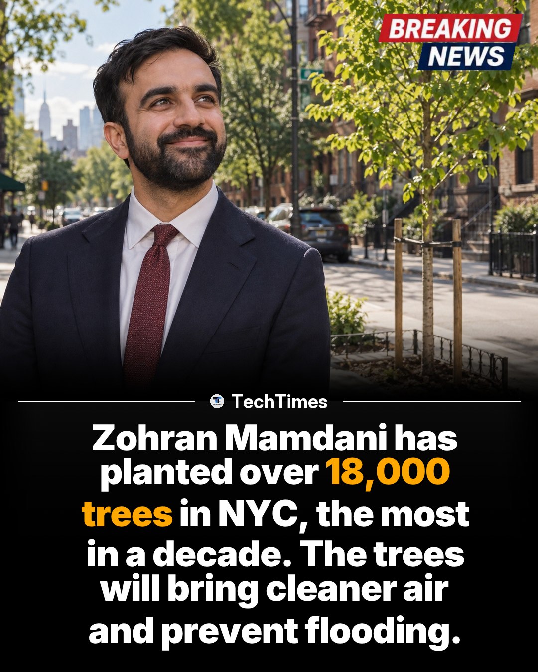 Zohran Mamdani's NYC Tree Planting Initiative
