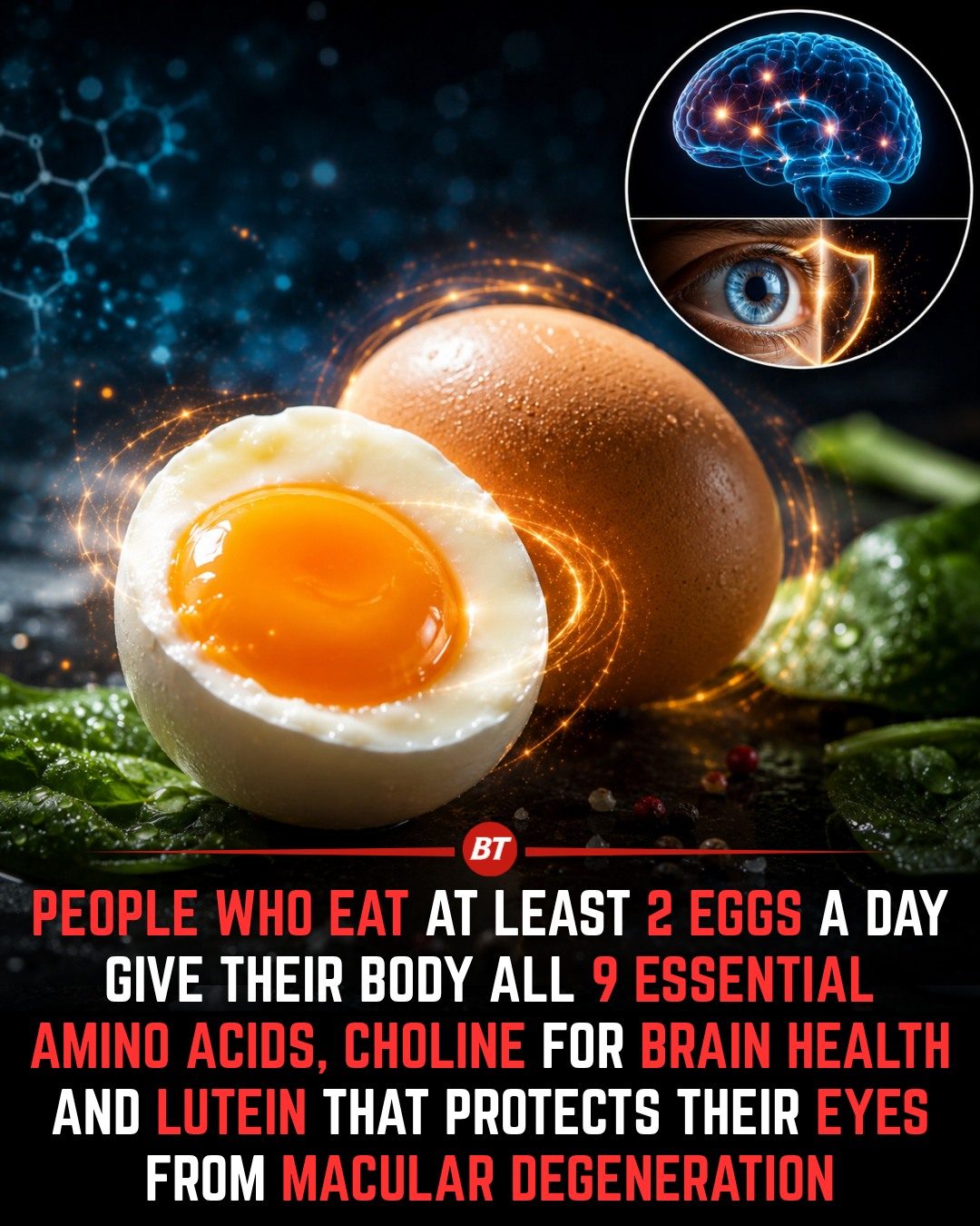 Eggs Boost Brain & Eye Health: Daily Benefits