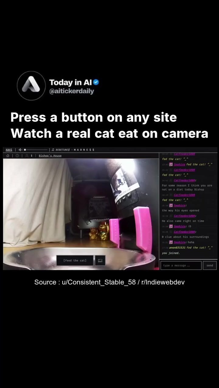 Indie Developer's Live Cat Feeder Goes Viral