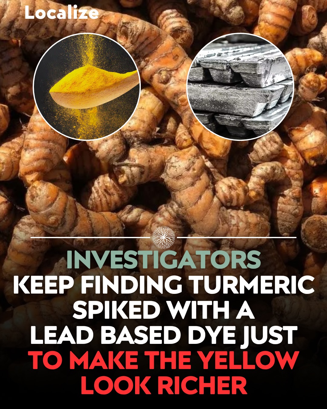 Turmeric Powder Lead Contamination Concerns