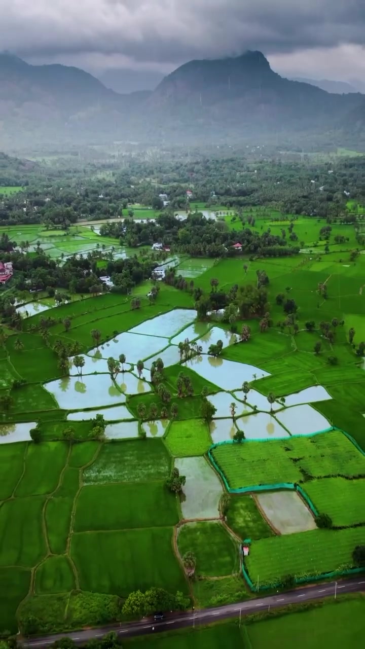 Kerala's Monsoon Landscapes: Aerial Views