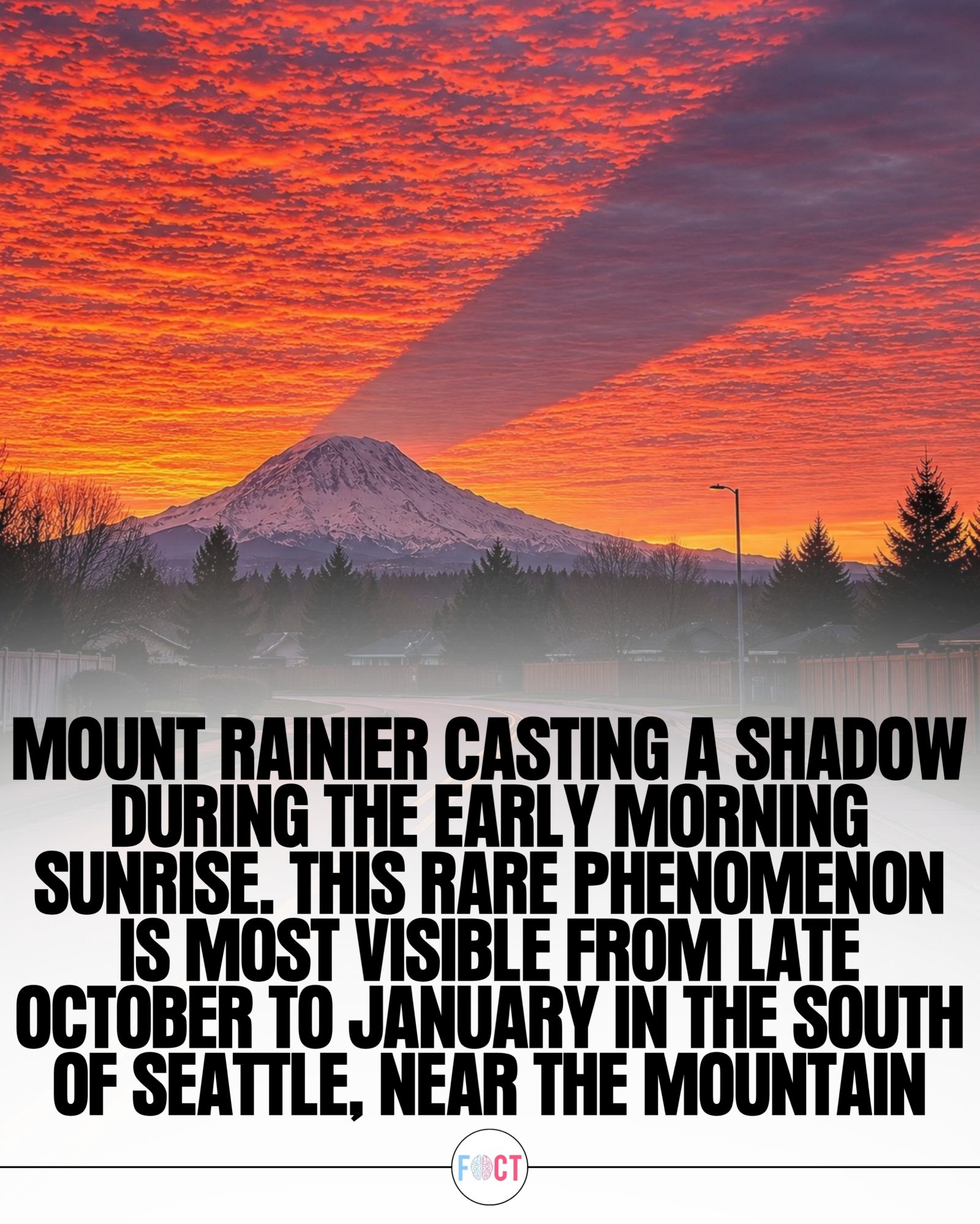 Mount Rainier Sunrise Shadow: A Rare Seattle Sight