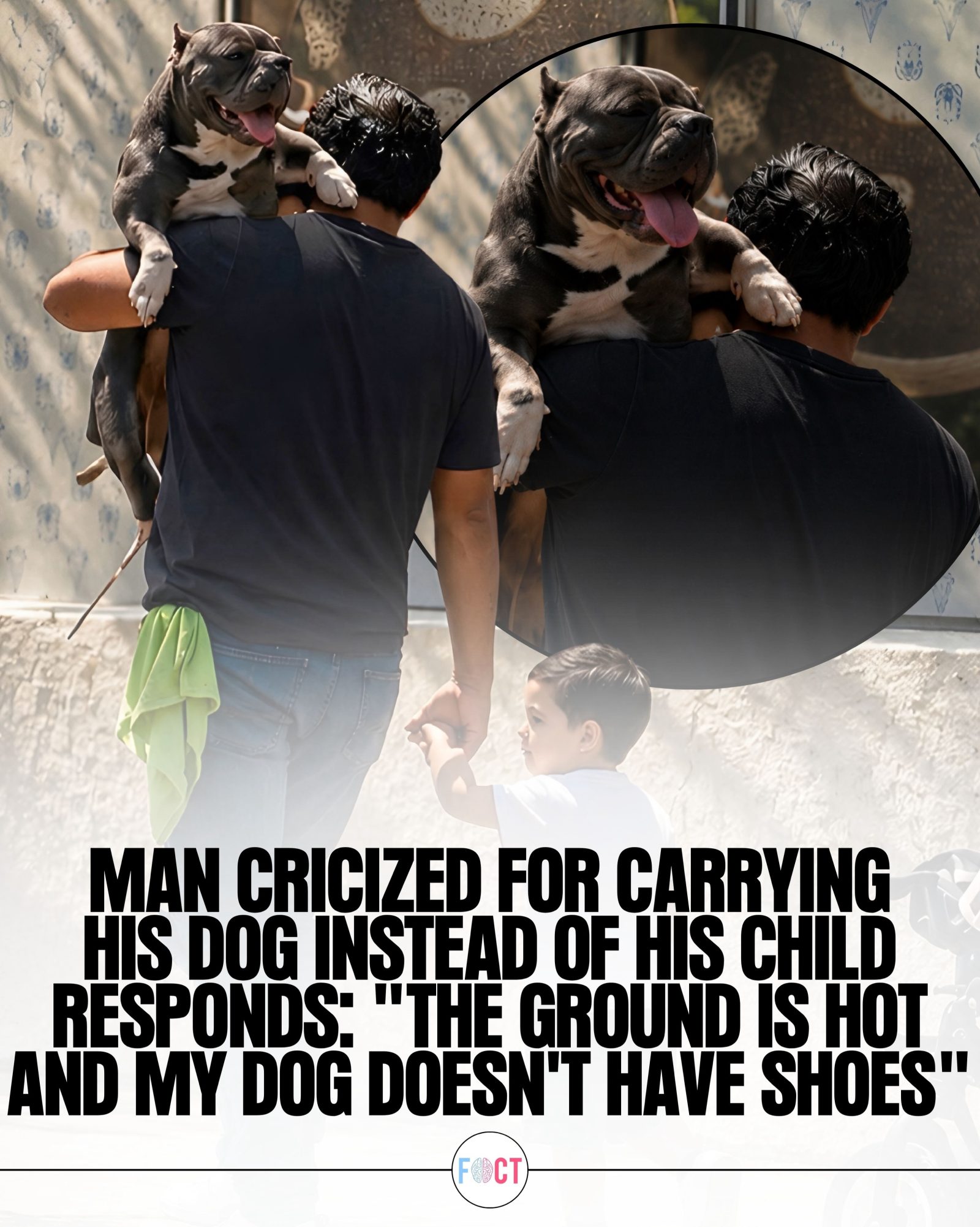 Man Carrying Dog Sparks Debate: Pet Care or Misplaced Priorities?