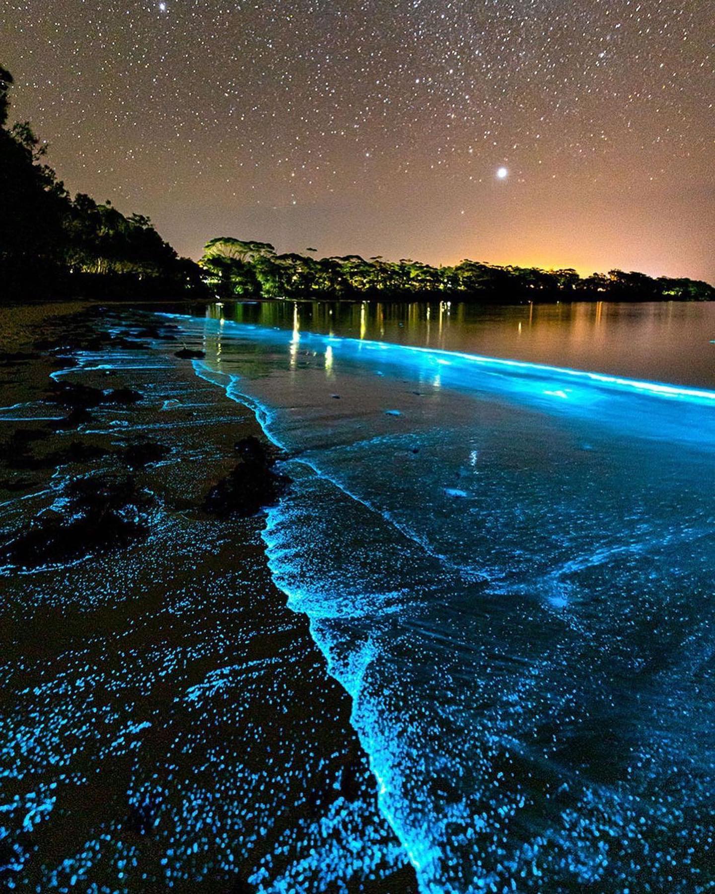 Bioluminescent Beach: Glowing Waves at Night