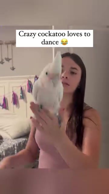 Cockatoo Showcasing Impressive Dance Moves in Viral Video