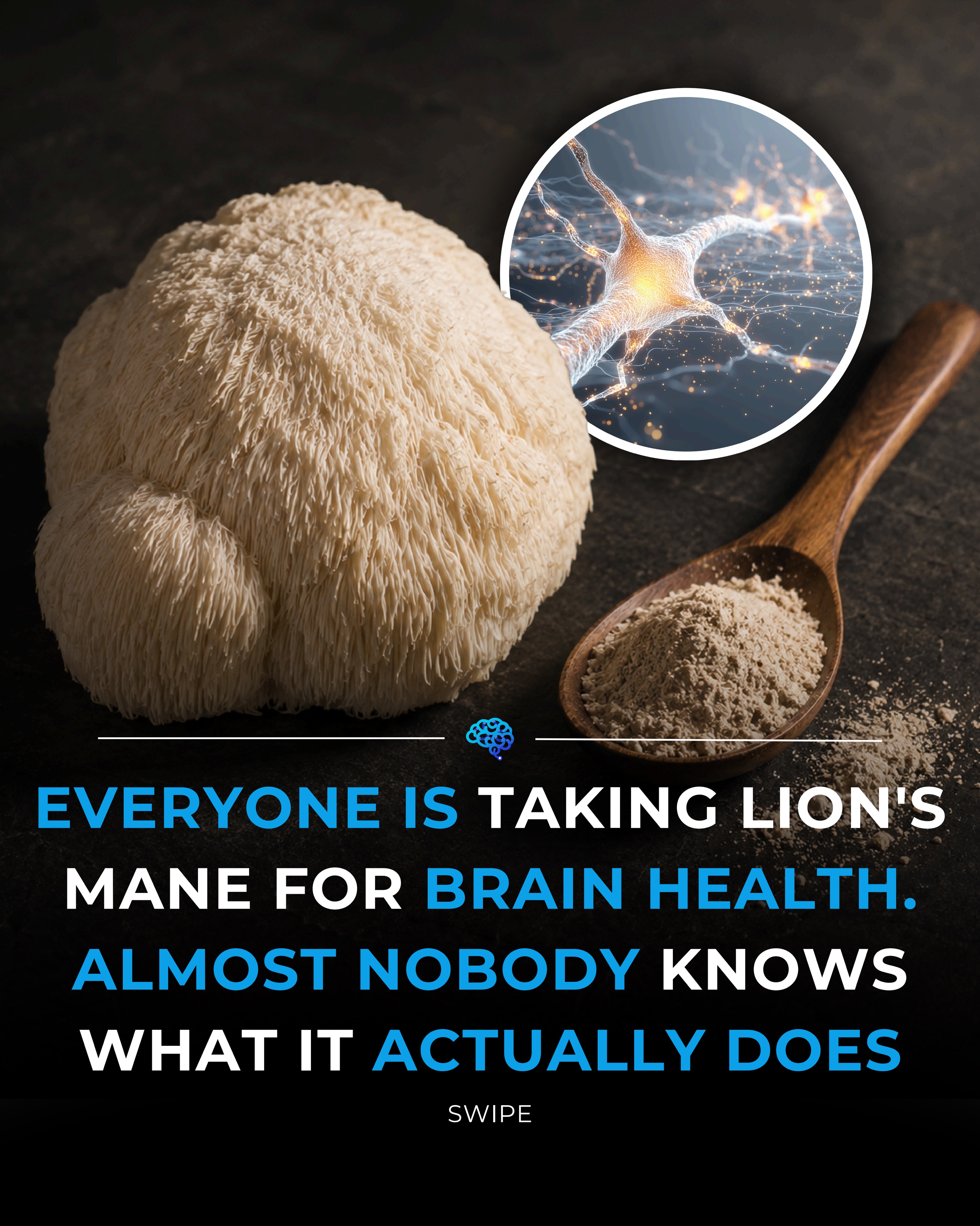 Lion's Mane Mushroom Benefits for Brain Health