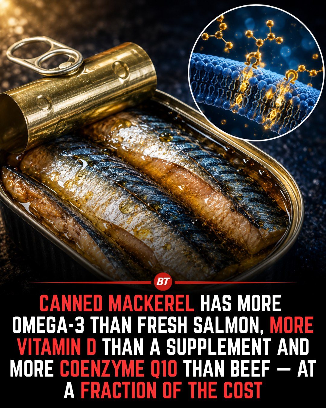 Canned Mackerel: Affordable Superfood for Heart and Brain Health