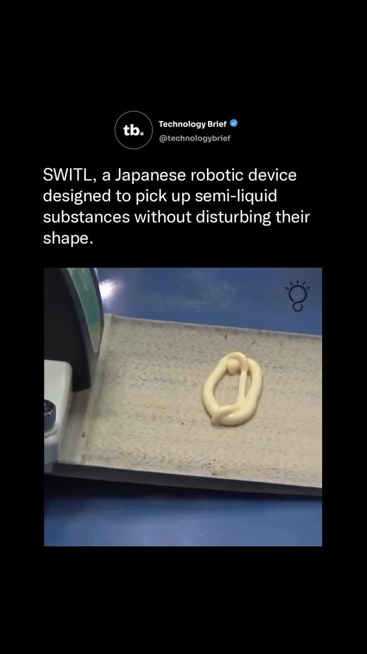 Japan's SWITL: Robotic Precision for Handling Semi-Liquid Foods