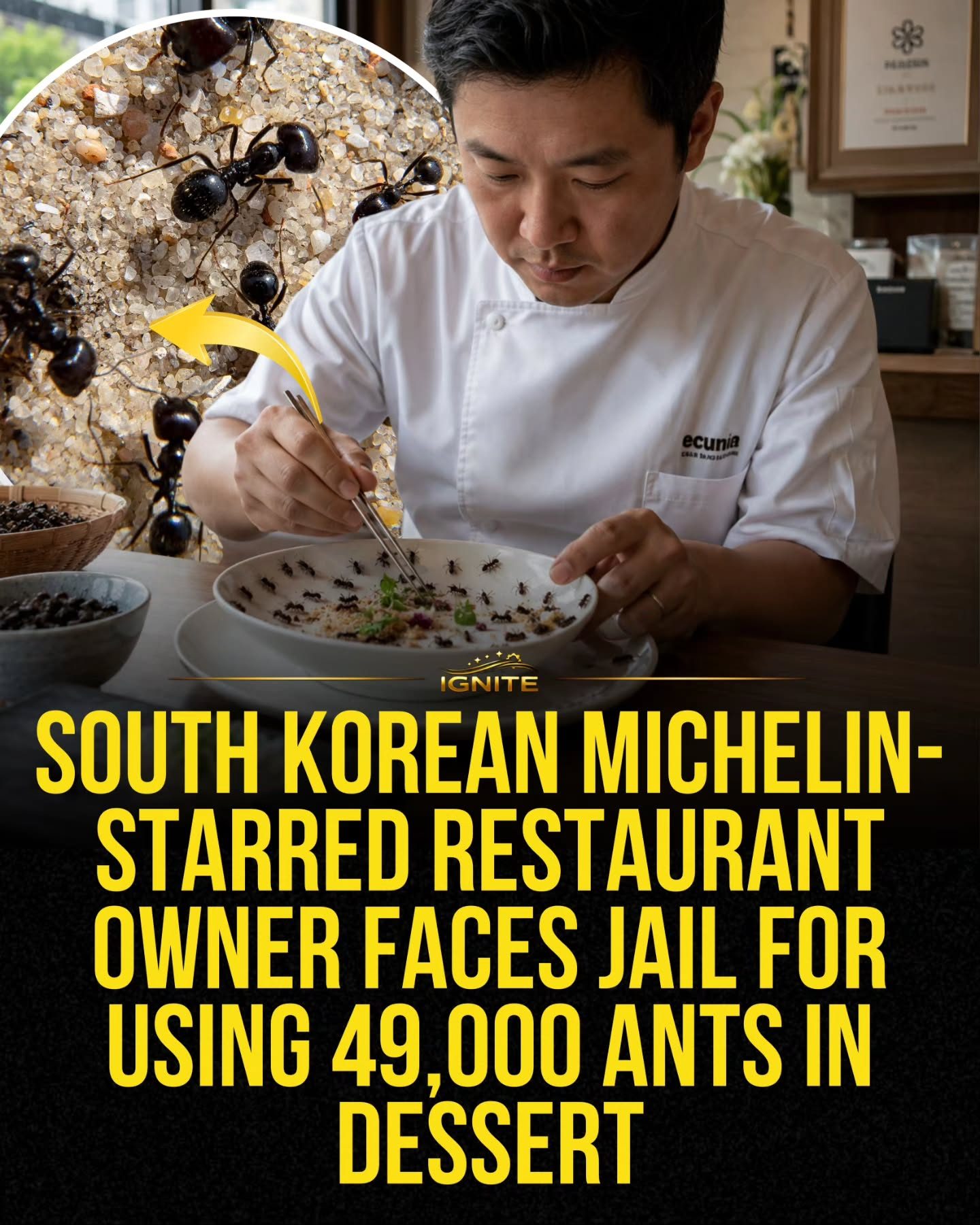 Michelin-Starred Chef Faces Jail for 49,000 Ant Dessert