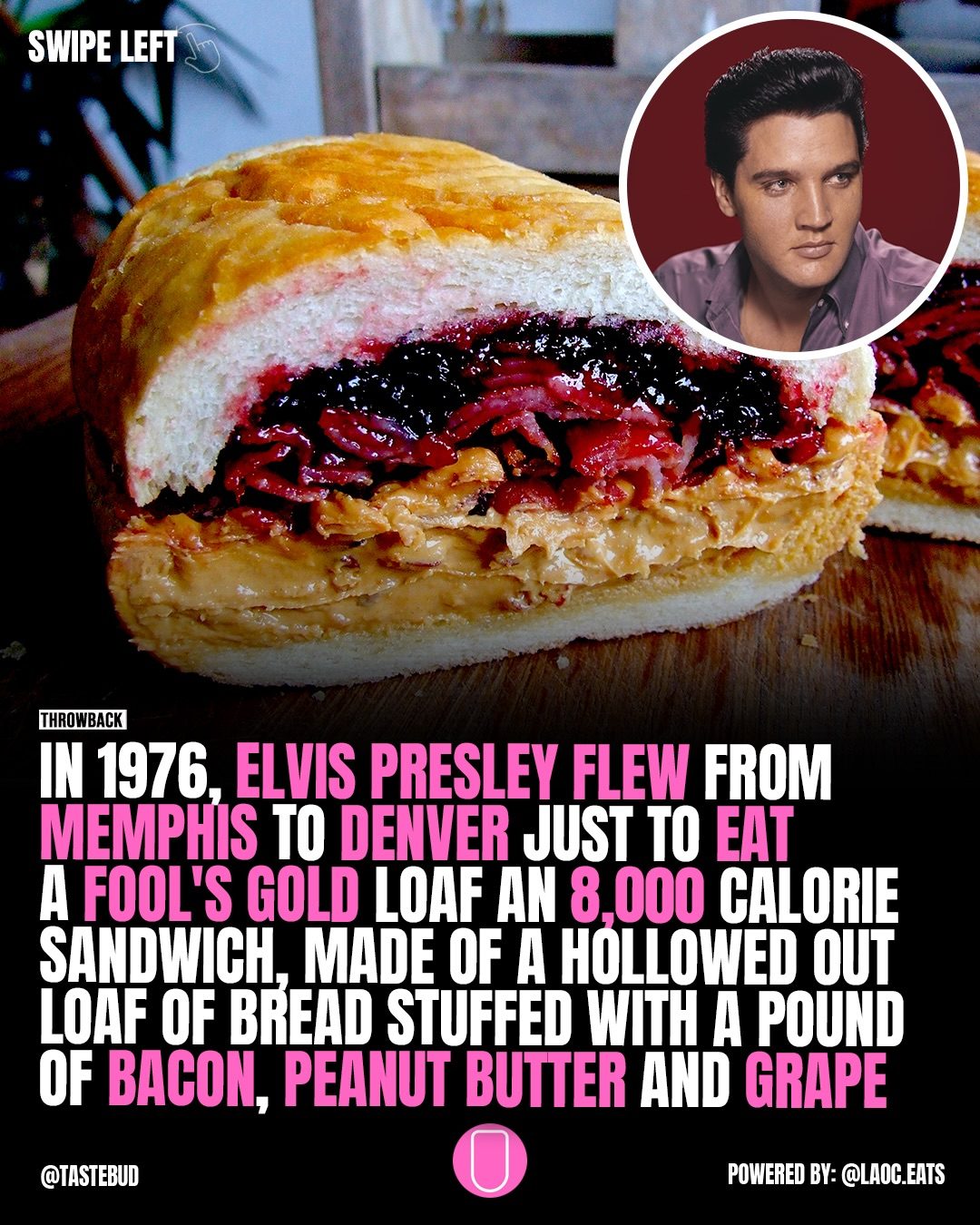 Elvis Presley's 8,000-Calorie Sandwich Flight