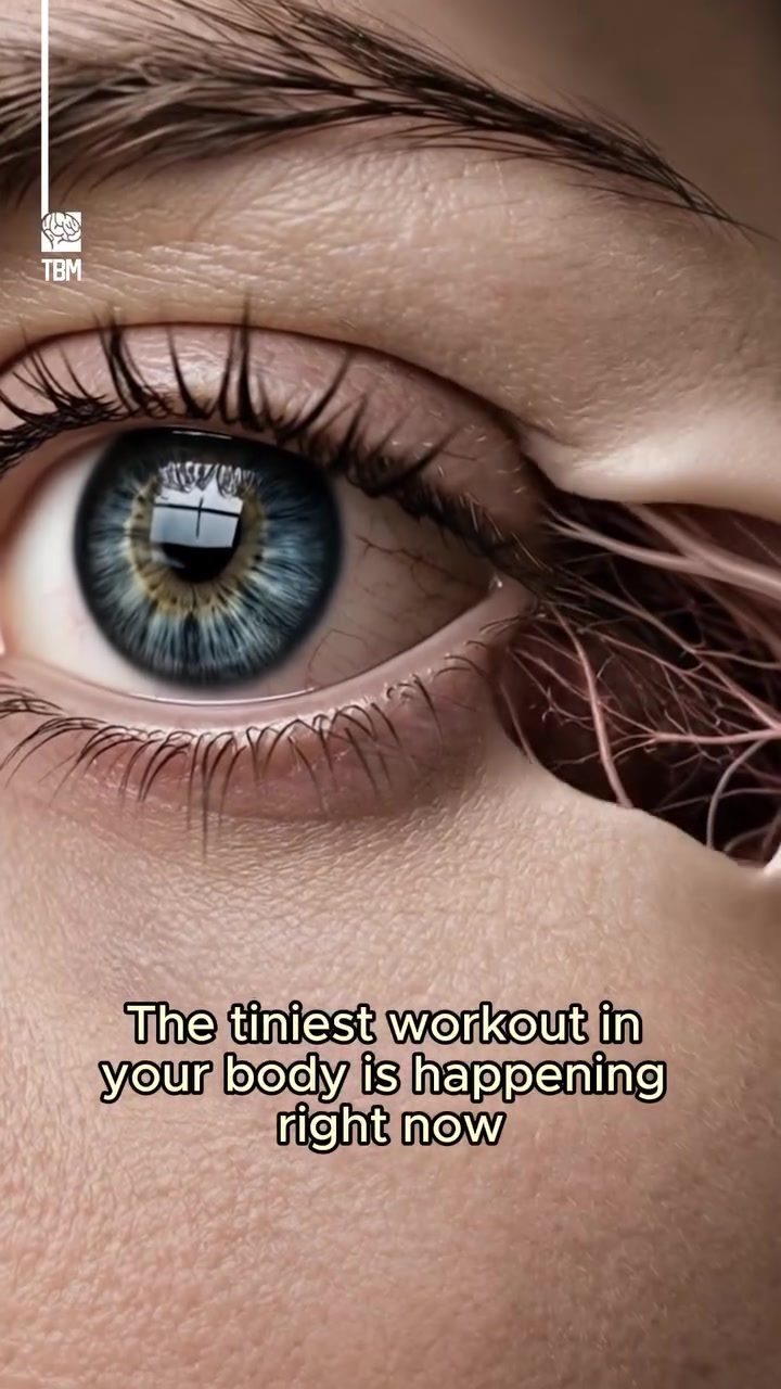 The Ciliary Muscle: Why Your Eyes Get Tired After Focusing