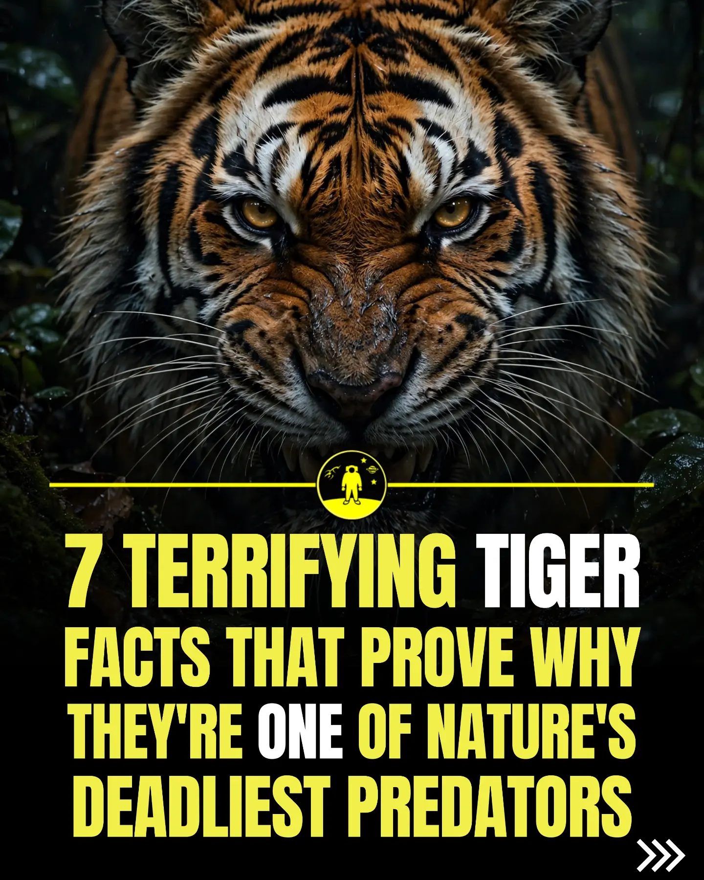 7 Impressive Facts About Tigers' Hunting Skills