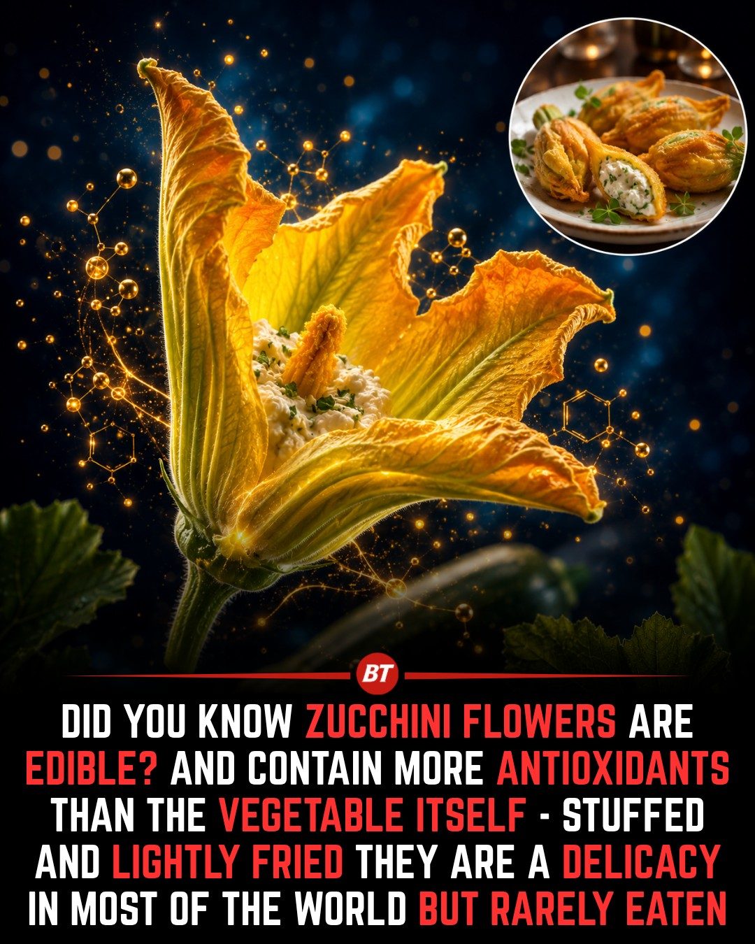 Discover Zucchini Flowers: A Delicious, Nutritious Delicacy