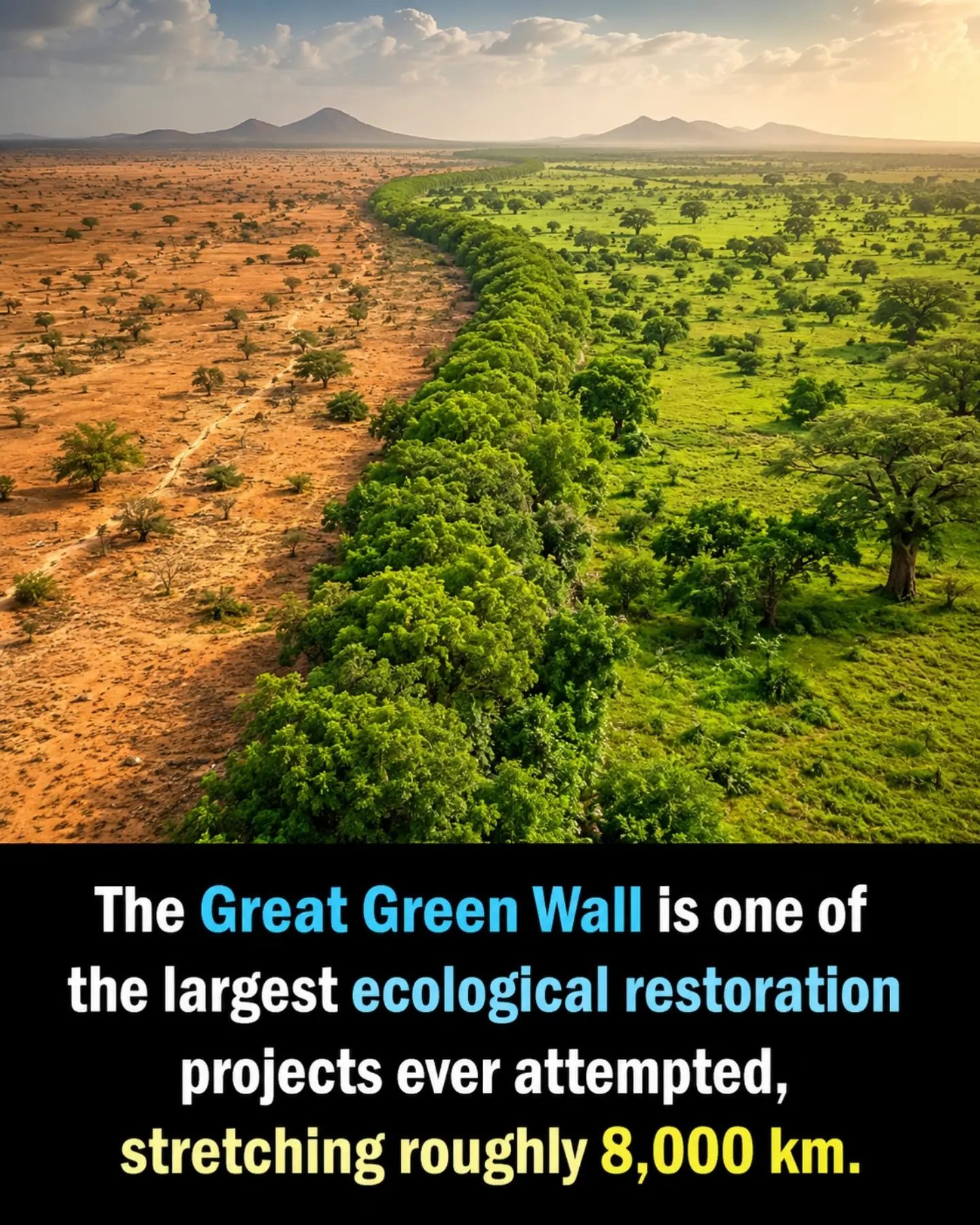 The Great Green Wall: Africa's Epic Eco Restoration
