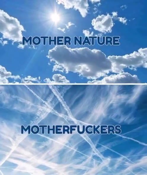 **"How Sky Comparison Memes Highlight Human Impact"**

**Alternative Options:**
- **"Seeing the Sky Through Human Impact: Memes Exposed"**
- **"Environmental Awareness: The Role of Sky Comparison Memes"**
- **"Sky Comparison Memes: Environmental Degradation Visualized"**
- **"The Impact of Human Activity On The Sky: Memes Explained"**