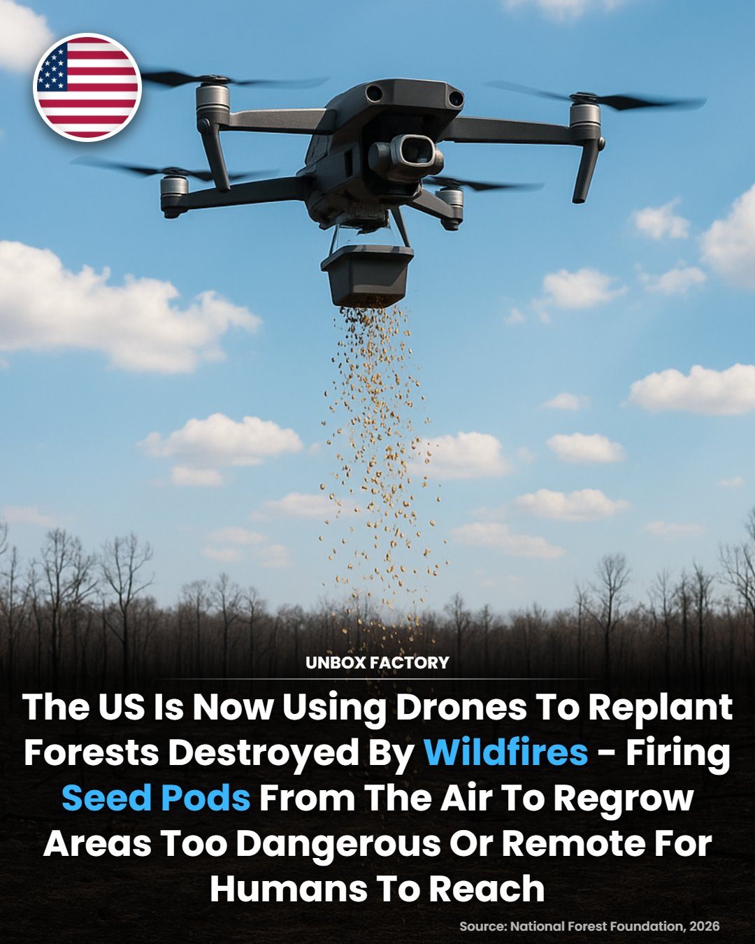 Drones Revolutionize Forest Reforestation After Wildfires