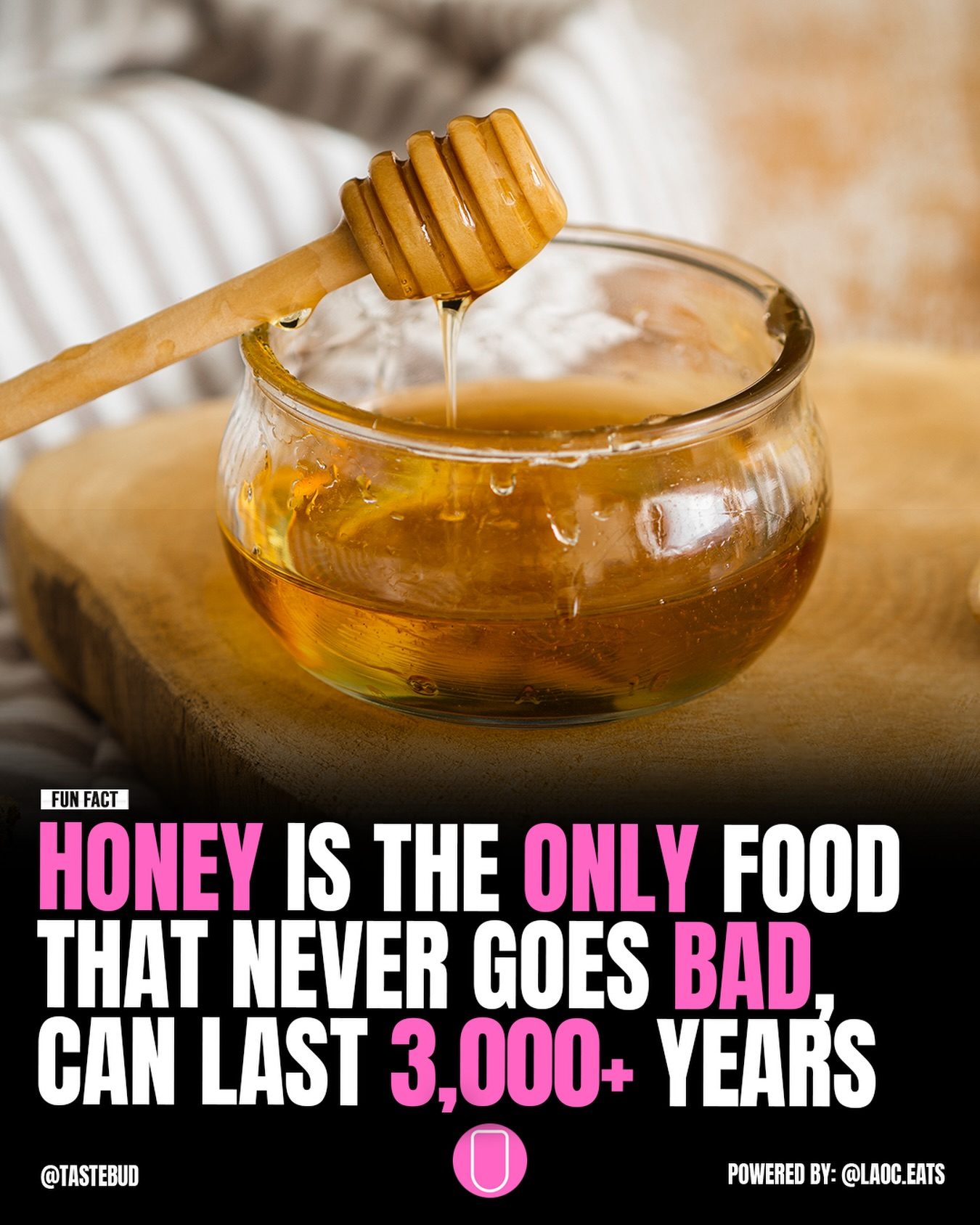 Honey's Amazing Longevity: Why It Never Spoils